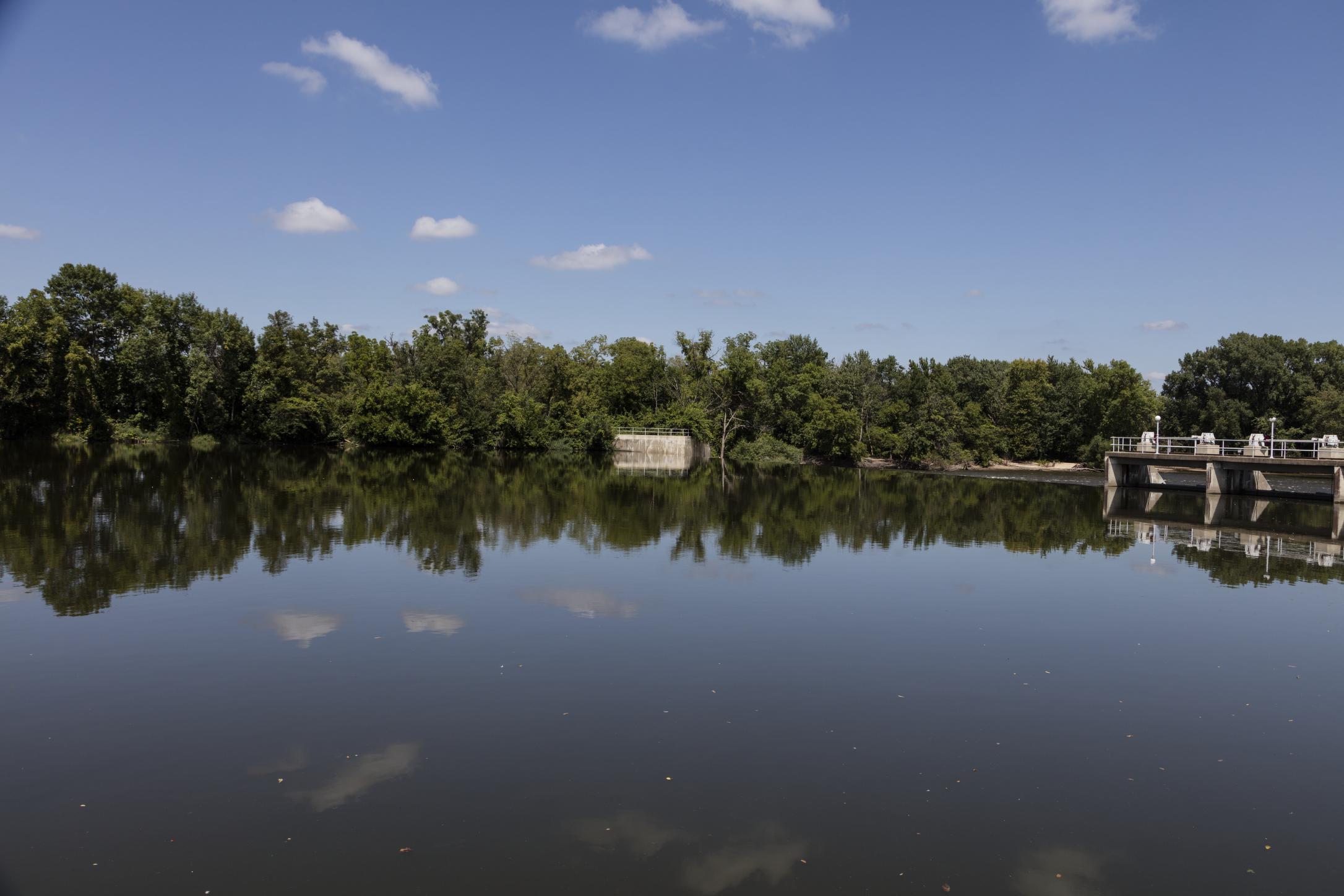 Tree-lined banks reflected in the Cedar River